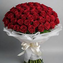 Букет 101 Красная роза Блэк Мэджик в Северный