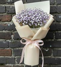 Букет цветов из:  Гипсофила в Северный