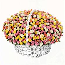 Премиум букет из: Розы в Северный