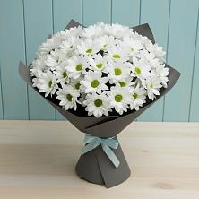 Букет цветов из:  Хризантемы в Северный
