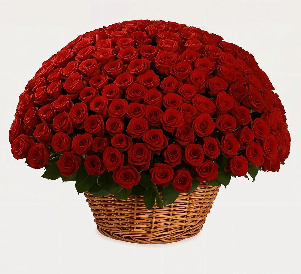 Премиум букет из: Розы в Северный