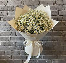 Букет цветов из:  Ромашки в Северный