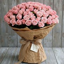 Букет 151 Роза Роуз #REPLACE_PRED# Северный