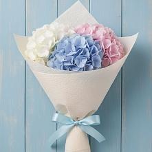 Букет цветов из:  Гортензия в Северный