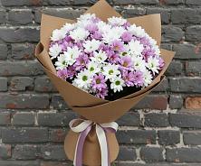 Букет цветов из:  Хризантемы #REPLACE_PRED# Северный