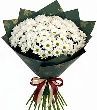 Букет цветов из:  Хризантемы в Северный
