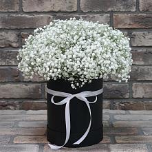 Цветочная композиция из Гипсофила в шляпной коробке в Северный