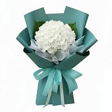 Букет цветов из:  Гортензия в Северный